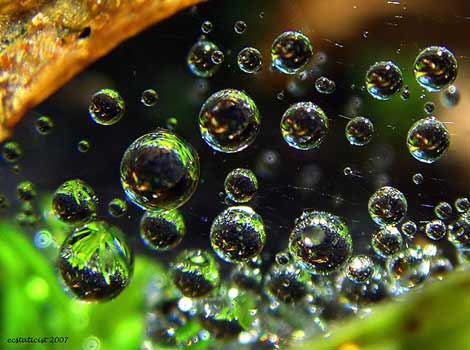 Yaradanın doğadaki harikaları! galerisi resim 4