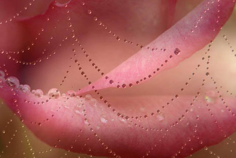 Yaradanın doğadaki harikaları! galerisi resim 7