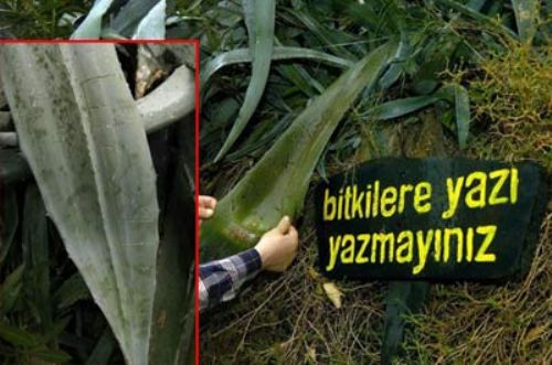 Yurdum insanı yine güldürdü galerisi resim 19