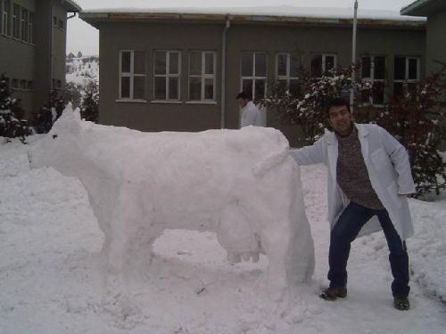Yurdum insanı yine güldürdü galerisi resim 8
