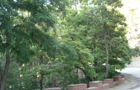 Türkiye'nin Doğal Güzellikleri galerisi resim 22