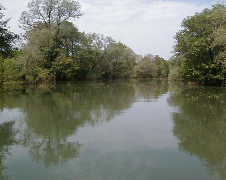 Türkiye'nin Doğal Güzellikleri galerisi resim 35