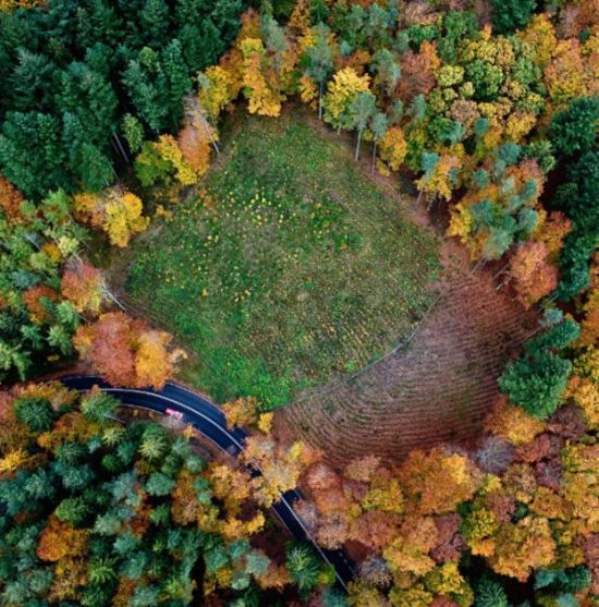 Paraşütten çekilen fotoğraflar... galerisi resim 1