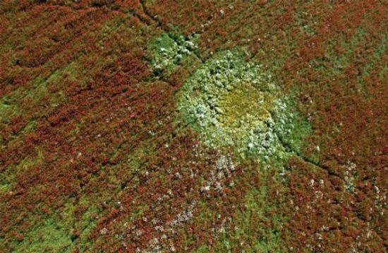 Paraşütten çekilen fotoğraflar... galerisi resim 12
