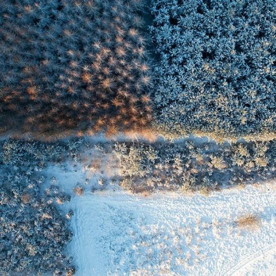 Paraşütten çekilen fotoğraflar... galerisi resim 7