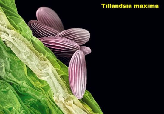 Bu olağanüstü görüntü neye ait? galerisi resim 15