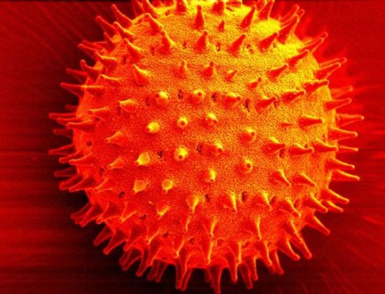 Bu olağanüstü görüntü neye ait? galerisi resim 17