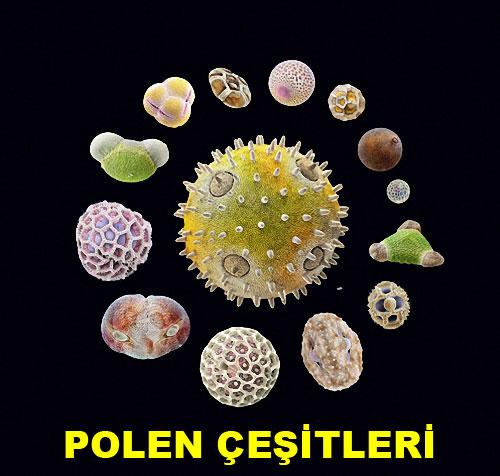 Bu olağanüstü görüntü neye ait? galerisi resim 5