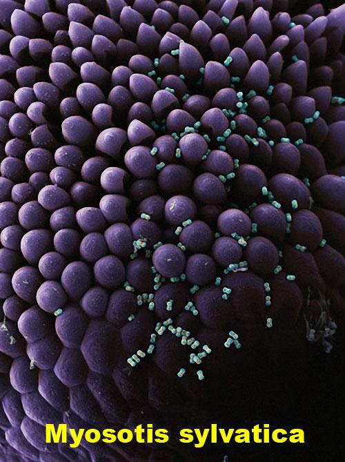 Bu olağanüstü görüntü neye ait? galerisi resim 9