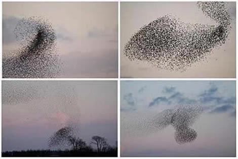 Bu doğa olayları açıklanamıyor galerisi resim 6