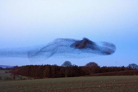 Bu doğa olayları açıklanamıyor galerisi resim 7