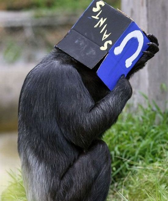 Biraz gülümsemeye ne dersiniz? galerisi resim 13