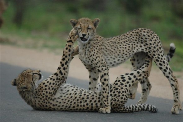 Biraz gülümsemeye ne dersiniz? galerisi resim 14