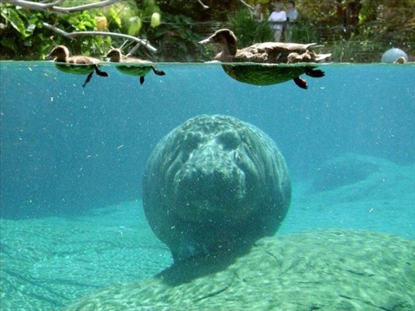 Biraz gülümsemeye ne dersiniz? galerisi resim 6