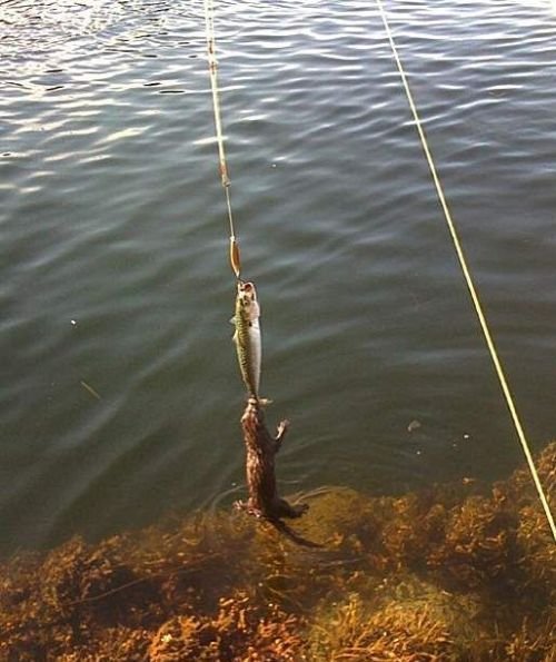 İlginç ve Eğlenceli Resimler galerisi resim 14