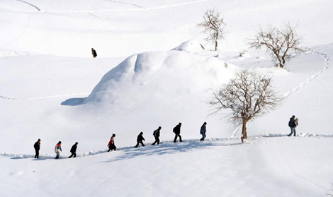 Bu fotoğraflar ödüllü galerisi resim 1