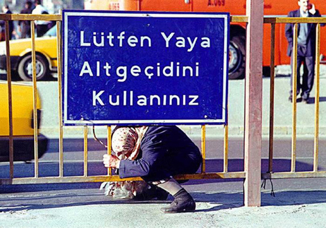 Bu fotoğraflar ödüllü galerisi resim 6