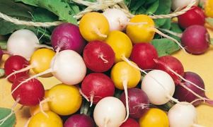 "Turpgiller kanserden koruyor"