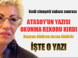 Türkiye'yi sarsan kedi cinayeti sonrası rekor kıran o yazı!