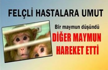 Felç hastalarına iyi haber!