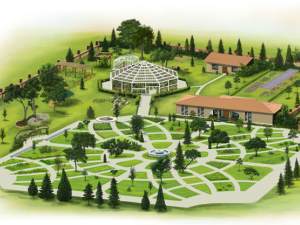 Türkiye'nin ilk ve tek "Tıbbi Bitkiler Bahçesi" Zeytinburnu'nda