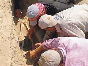 6 bin 200 yıllık parazit yumurtası