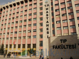 Tıp fakültesinde, "sivrisinek" sorunu