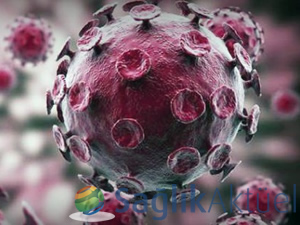 Virüsler "nanomekanik tartı" ile ölçülecek