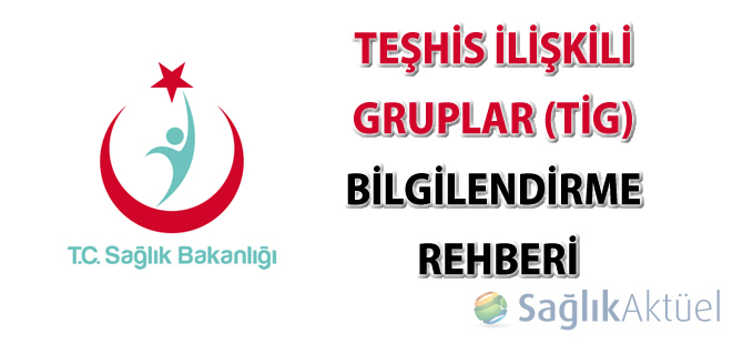 TİG Bilgilendirme Rehberi yayınlandı