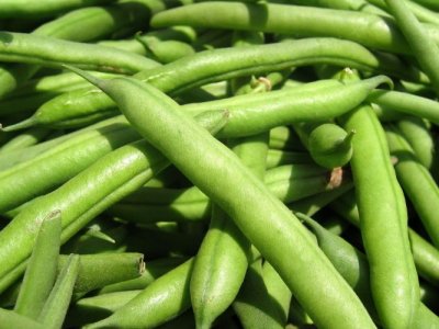 'Bakla' parkinson tedavisini olumsuz etkiliyor