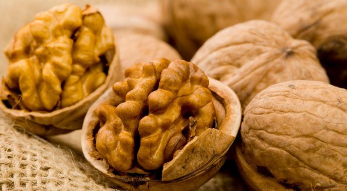 Ceviz, somon ve kanola yağı iştah hormonlarını olumlu etkiliyor