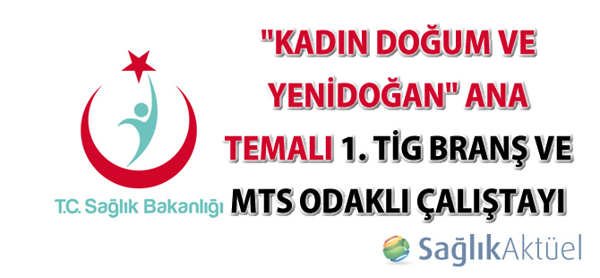 "Kadın Doğum ve Yenidoğan" Ana Temalı 1.TİG Branş ve MTS Odaklı Çalıştay Dokümanı