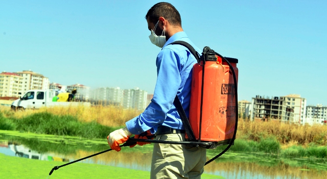 Diyarbakır'da şark çıbanı vakaları