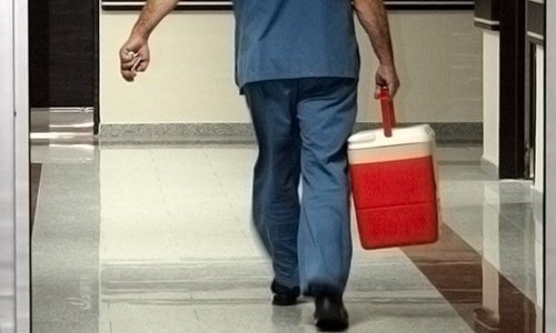 Sahibinden satılık böbrek!