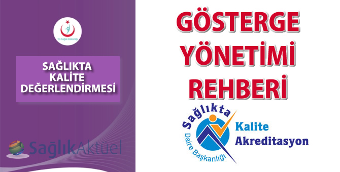 Gösterge Yönetimi Rehberi yayımlandı