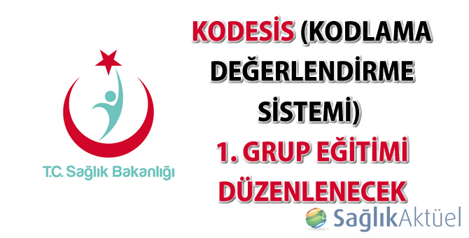 KoDeSis (Kodlama Değerlendirme Sistemi) 1. Grup Eğitimi Düzenlenecek