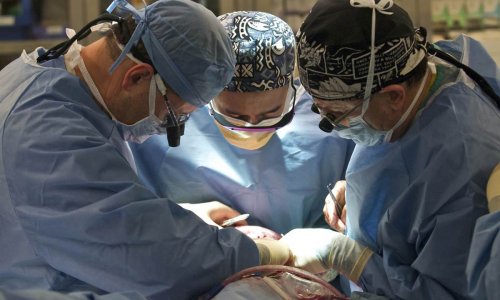 Seah'da Haftada 70 Ameliyat Yapılıyor