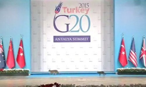 G20 için sağlık ordusu iş başındaydı