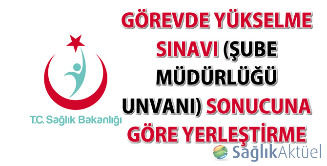 Görevde Yükselme Sınavı (Şube Müdürlüğü Unvanı) Sonucuna Göre Yerleştirme