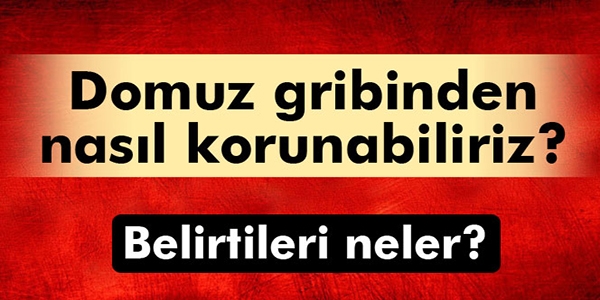 Domuz gribinden nasıl korunmalıyız?