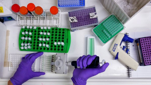 'Kan ürünlerinde dışa bağımlılığı bitireceğiz'