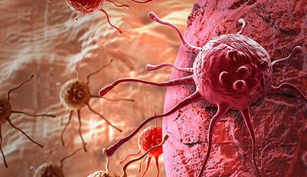 Kanser hücrelerini yok eden 3 bileşik buldu