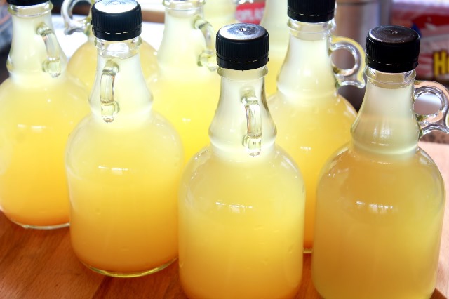 Sirkeli suyun faydaları nelerdir?