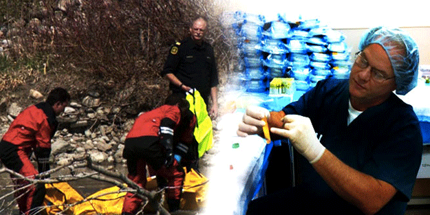 Kanserin çaresini bulan doktor öldürüldü