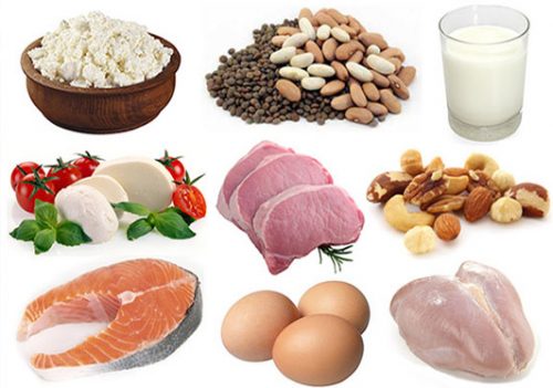 Protein ve tuz ağırlıklı beslenmek 'gıda koması'na neden olabilir