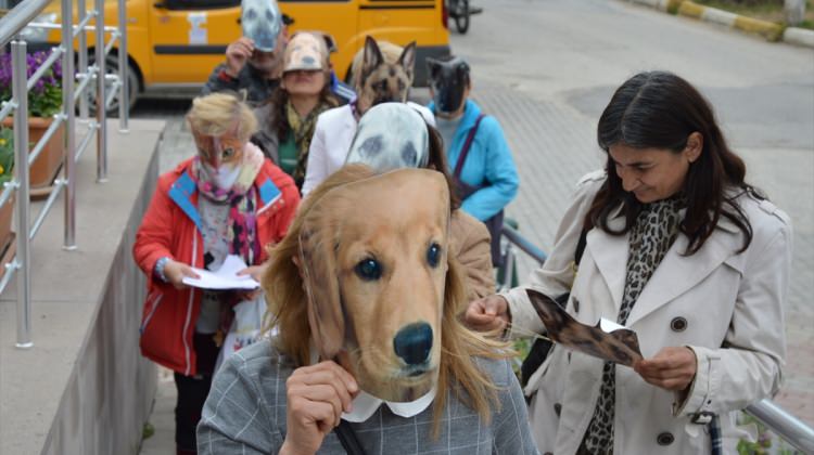 Sokak hayvanları için rehabilitasyon merkezi açılması isteği