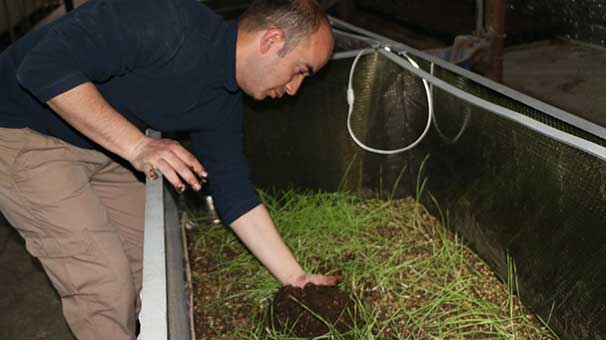 Sağlık memuru 30 milyon solucanı ile gübre üretiyor