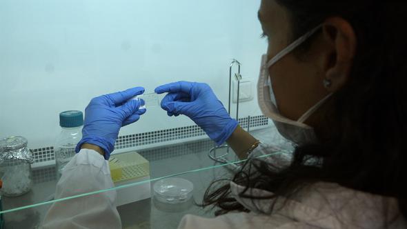 Kansere çare arıyordu! Bulduğuyla iş kadını oldu! İlk sipariş ABD'den...