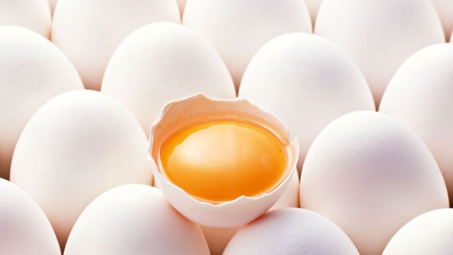 'Yumurta, anne sütünden sonra en önemli protein'