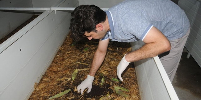 Hukuk fakültesi öğrencisinin solucan gübresi serüveni